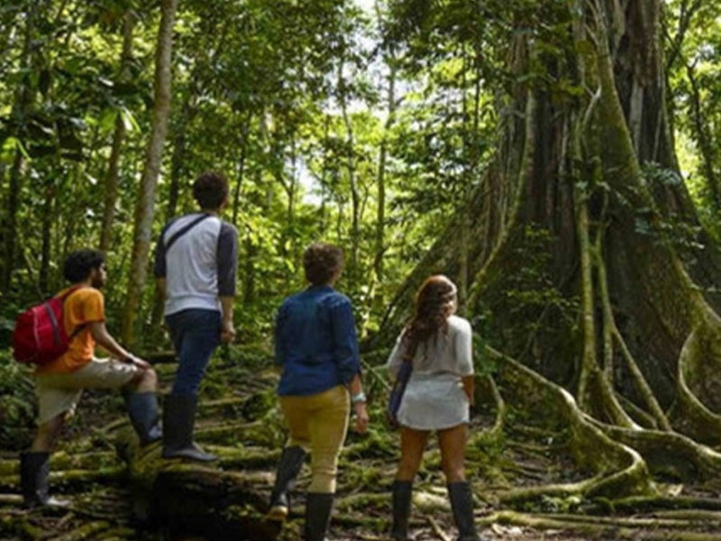 Reserva Nacional Allpahuayo Mishana